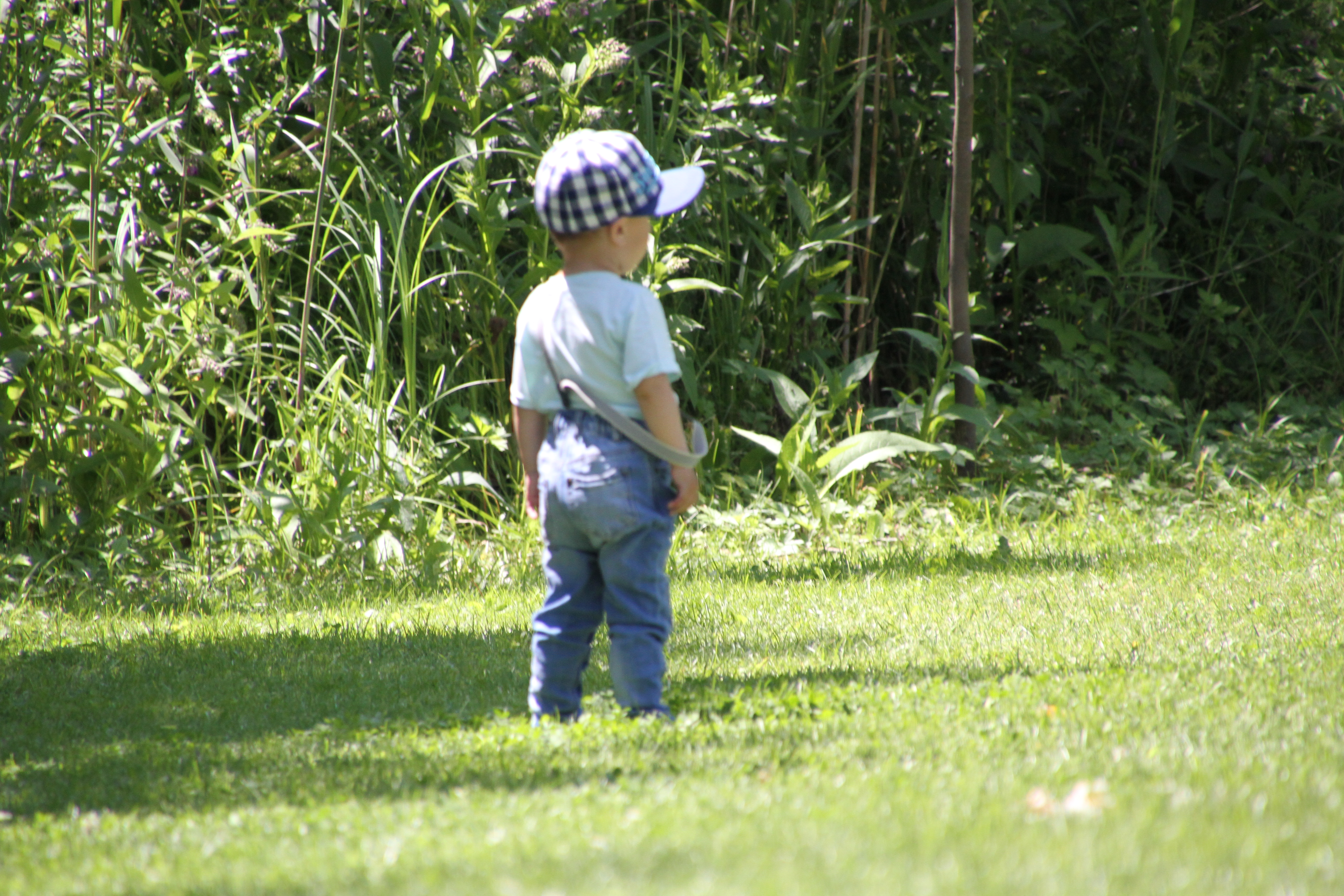 Poveştile clipei: „Pentru o clipă, chicotitul argintiu se opri”