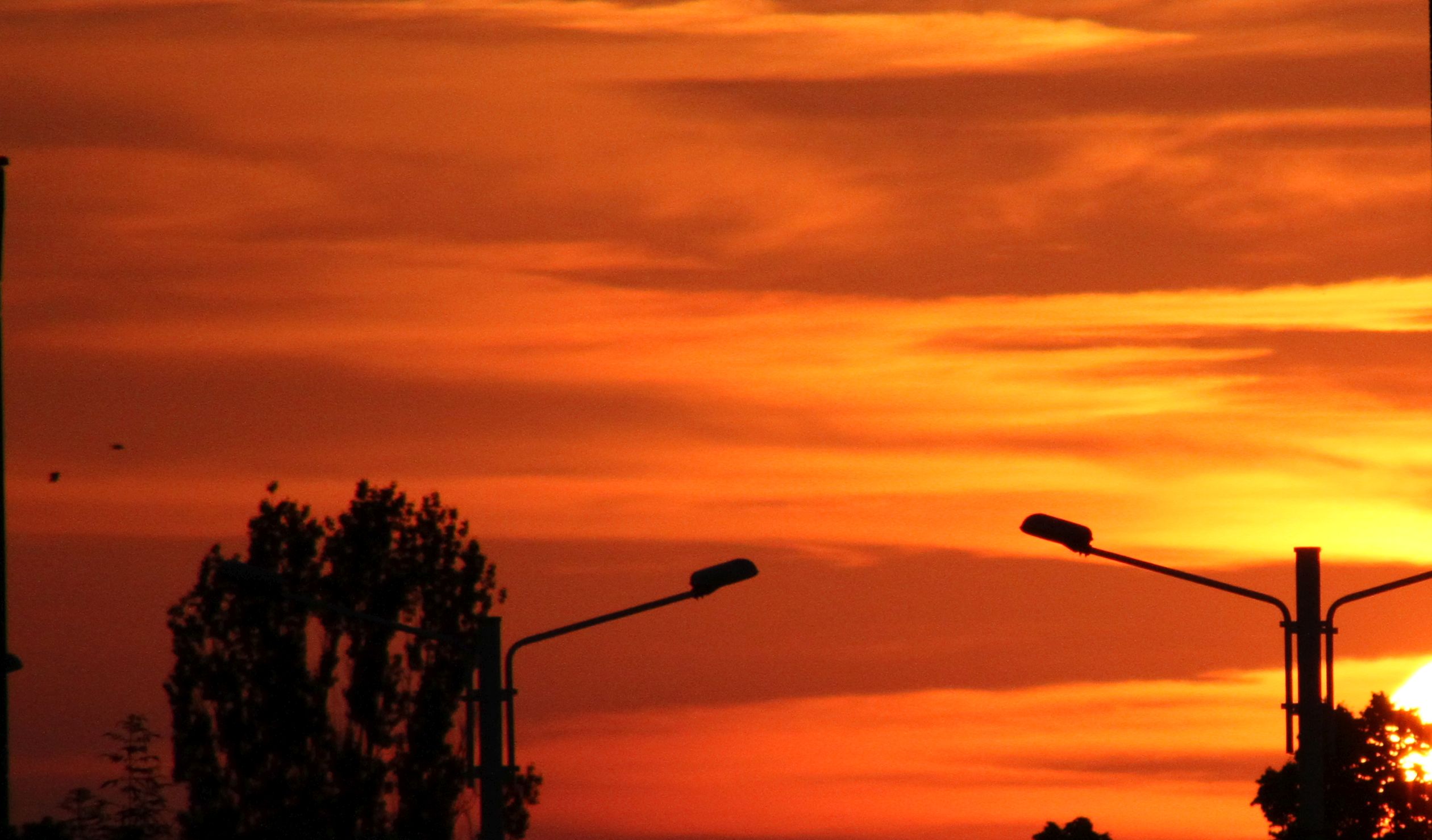 PROGNOZA METEO pentru joi şi vineri