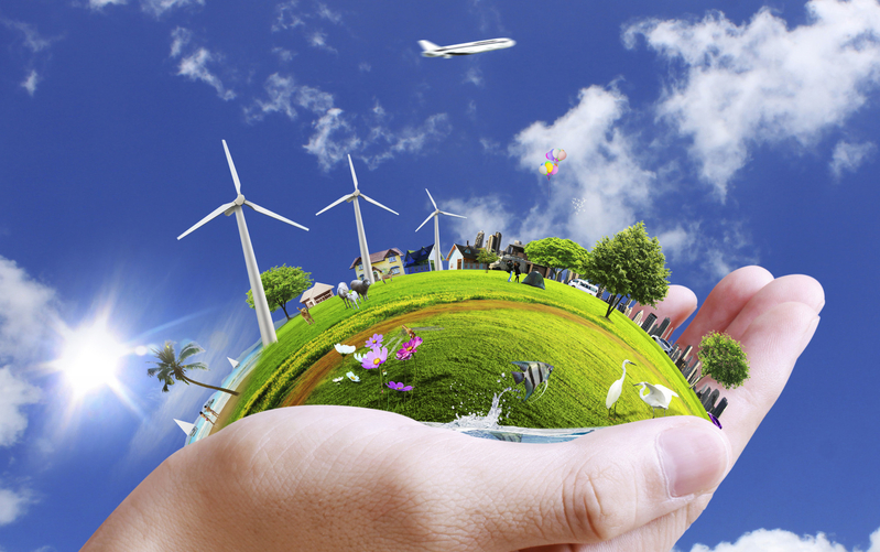 Ziua Internationala a Mediului, marcata la Craiova!