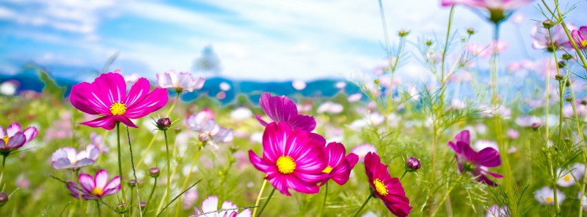 (Audio) Vremea se incalzeste, dar nu scapam de ploi!