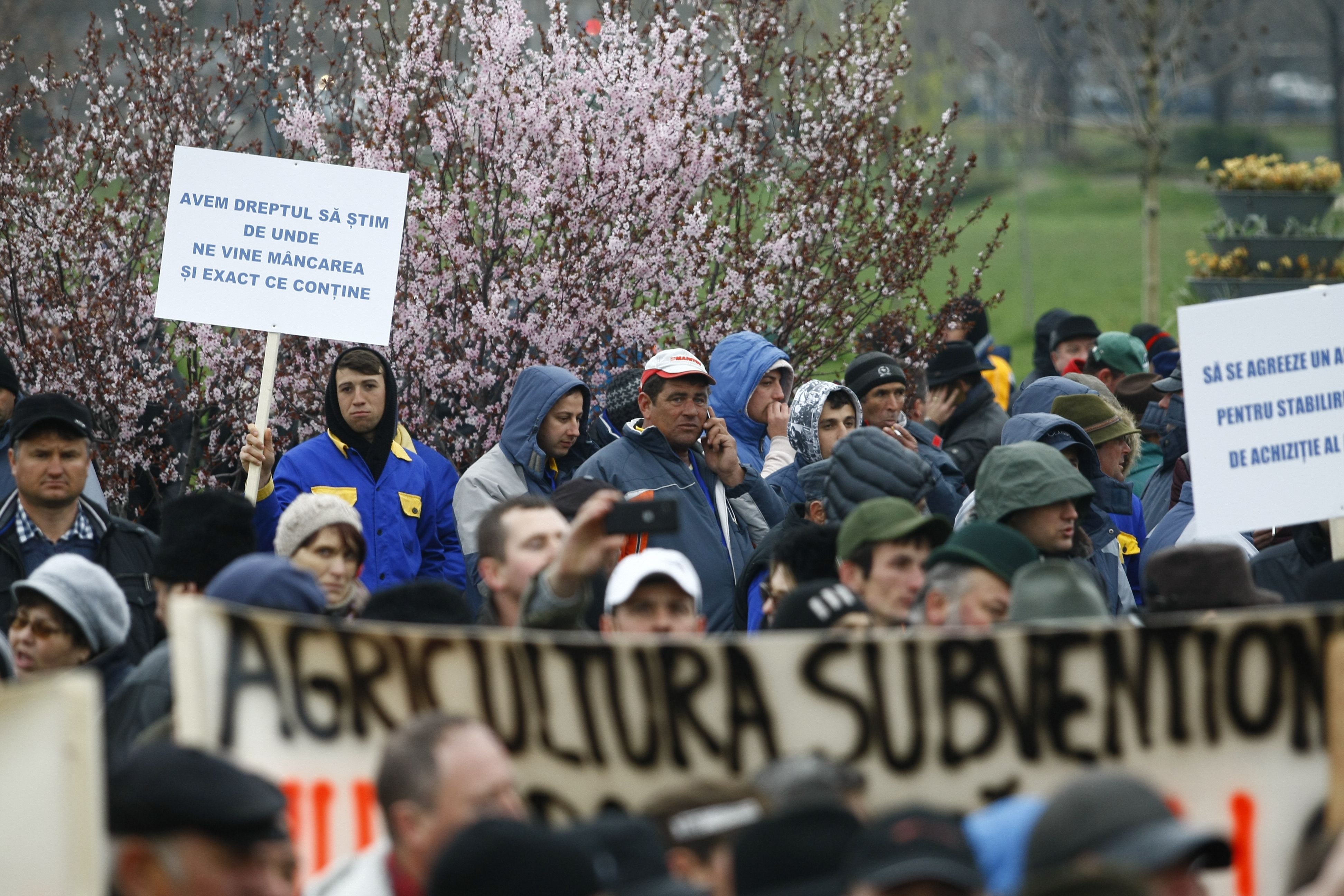 Fermierii protestează în fața Palatului Parlamentului