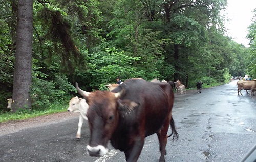 Azi despre ieri – 16 iulie 2016