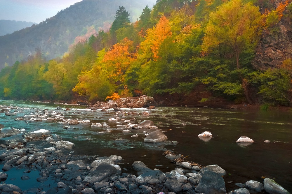 Condiții ecologice pentru DN 69