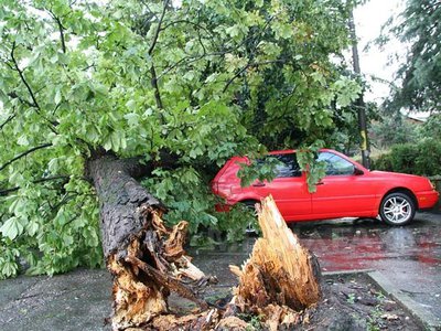 Furtună în județul Mureș