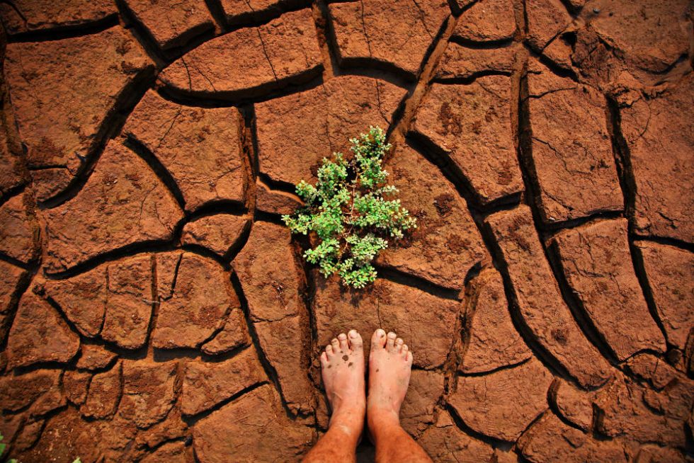 Ziua mondială pentru combaterea deșertificării și a secetei