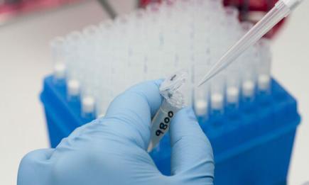 Virusul Zika crește numărul avorturilor în America Latină