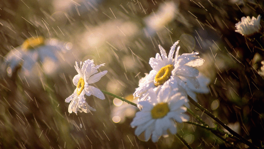 INFORMARE METEO de vreme rece si ploi