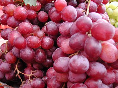 Nou brand la Recaș (audio)