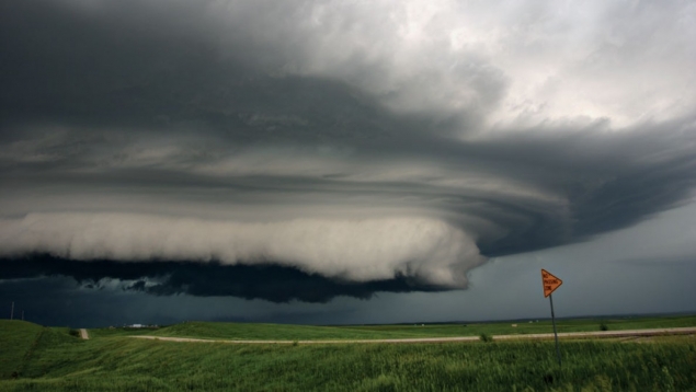 Cod galben in Gorj, Mehedinti si Valcea!