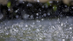 Grindina a provocat daune pe toată Valea Jiului