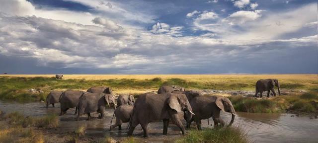 5 iunie: Ziua Mondiala a Mediului