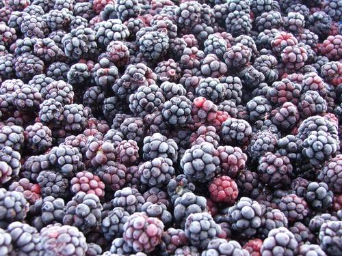 Beneficiile consumului de mure