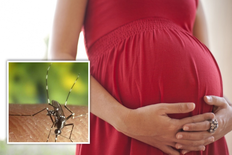 Zika: S-a nascut primul copil din Europa cu microcefalie