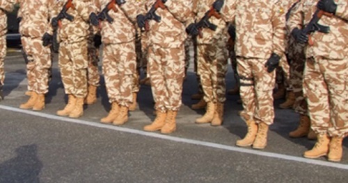 Ziua Batalionului 116 Sprijin Logistic Craiova