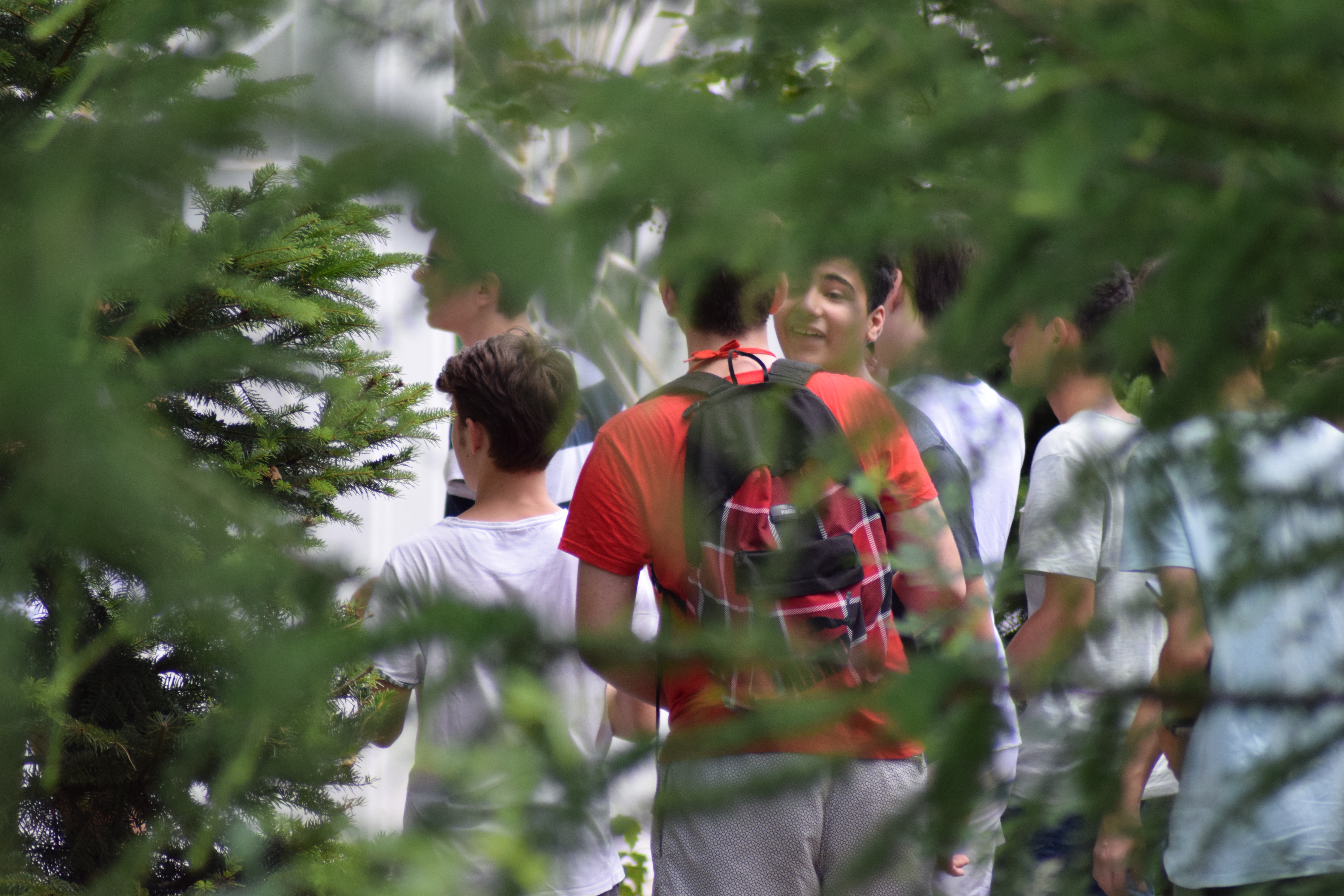 Poveştile clipei: „La umbra speranţelor alintate de soarele sudului”