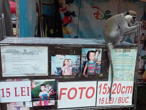 Azi despre ieri – 2 august 2016