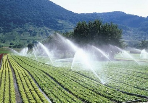 Prima suprafaţă de 1.000 de hectare, irigată în Vâlcea