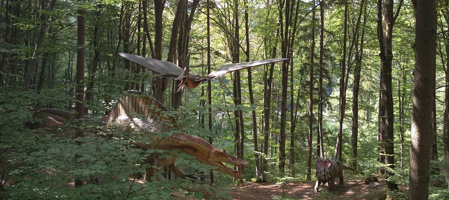 Râșnov 2016 – aventura continuă… (episodul 1)