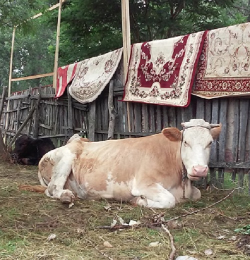 Azi despre ieri – 6 august 2016