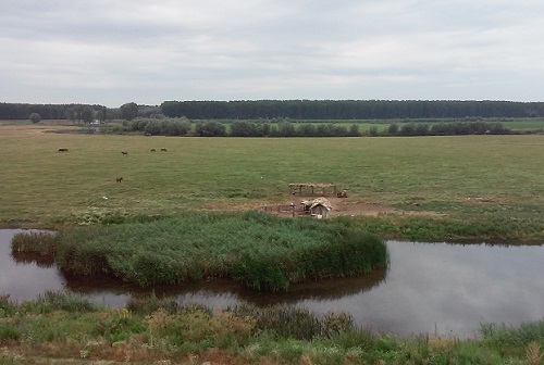 Azi despre ieri – 19 iulie 2016