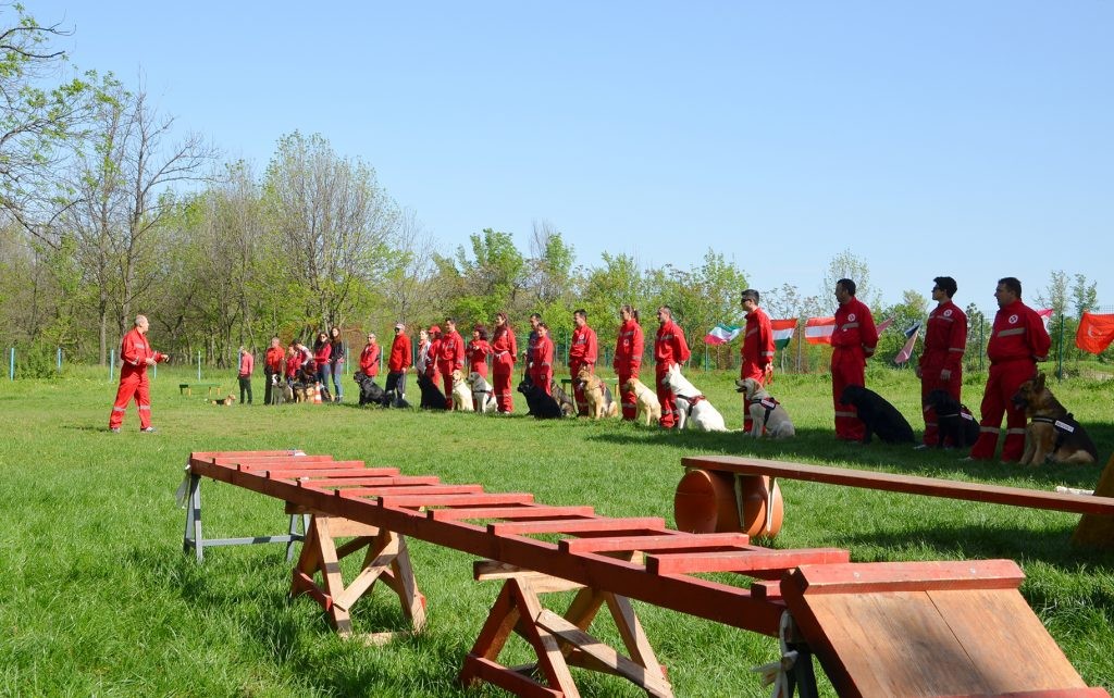 Mega Demo Canină la Craiova