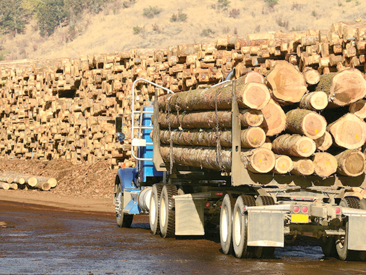 FSC retrage certificarea pentru Schweighofer