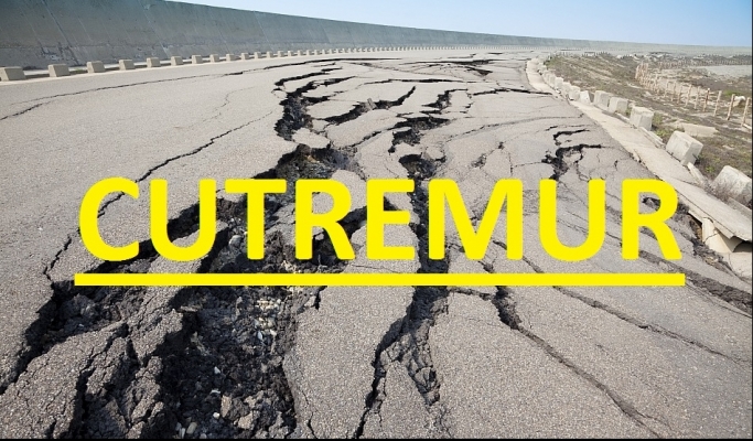 Cutremur in Vrancea in aceasta dimineata!