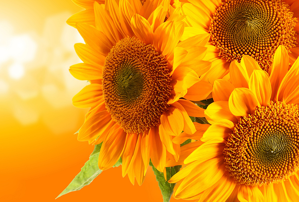 Poemul de azi, by Liliana Hinoveanu