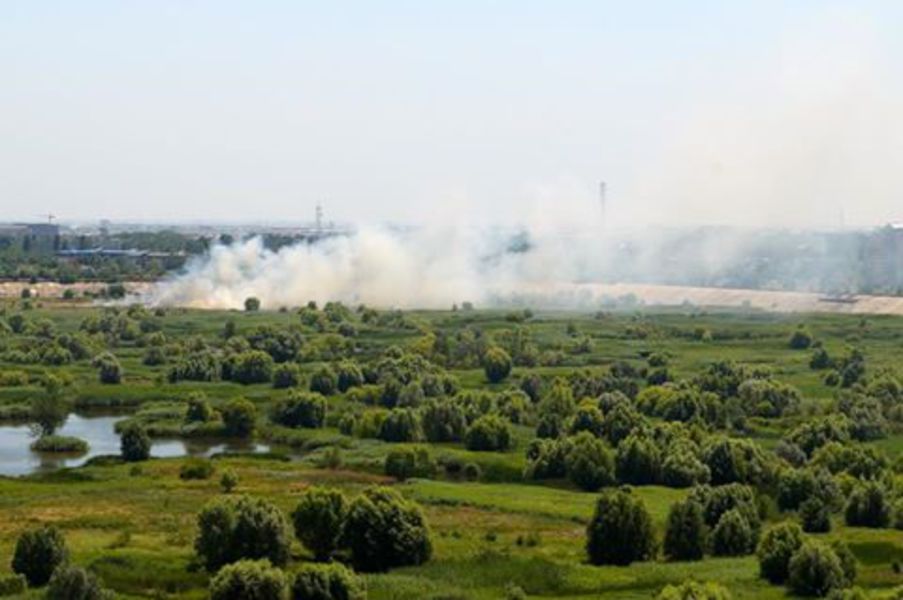 Incendiu în Parcul Natural Văcăreşti