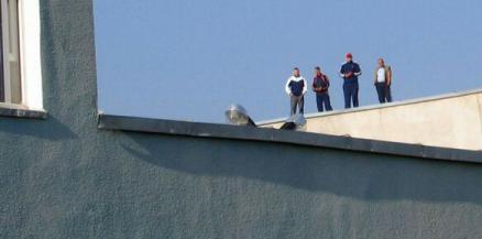 Un grup de deținuți protestează pe acoperișul Penitenciarului