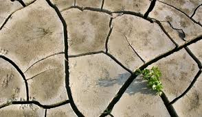 Secetă accentuată