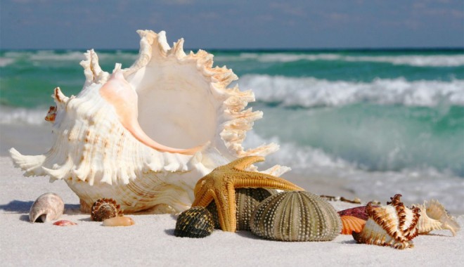 Poemul de azi, by Liliana Hinoveanu