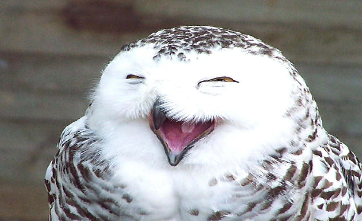 Top 20 de replici amuzante auzite în autobuz