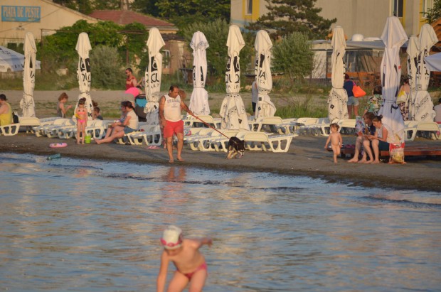 Administratorii plajelor nu respectă regulile