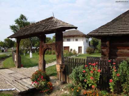 Sesiune de vară la Stroești