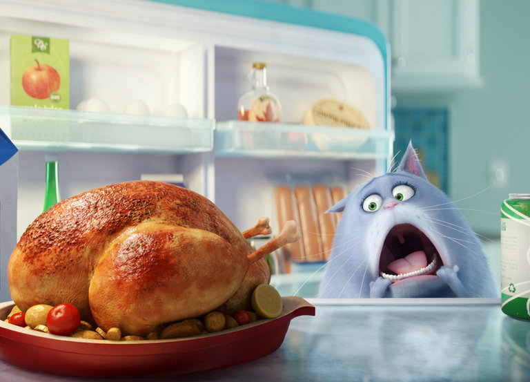 Animația Singuri acasă/The Secret Life of Pets, adorabilă
