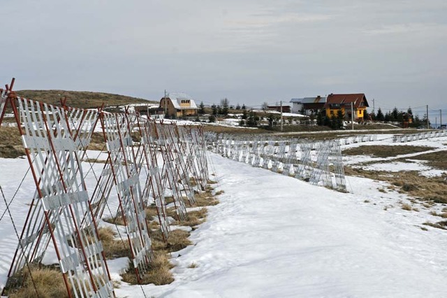 Parazapezi montate pe Transalpina