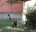 Azi despre ieri – 13 august 2016