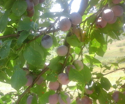 Azi despre ieri – 3 septembrie 2016