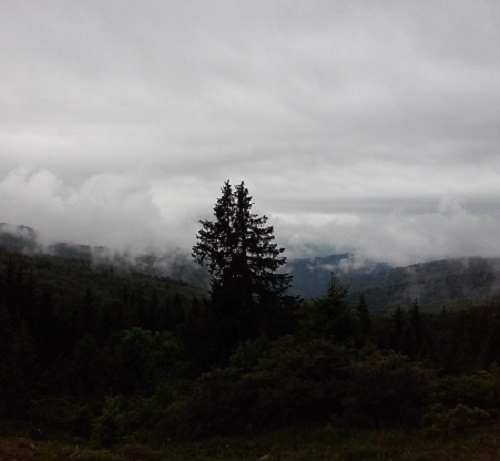 Azi despre ieri – 13 septembrie 2016