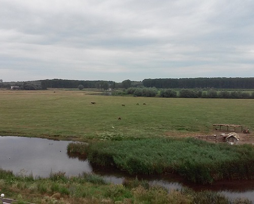 Vremea, azi, în Oltenia (audio)