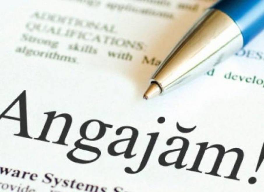 123 de someri olteni au sansa la angajare!