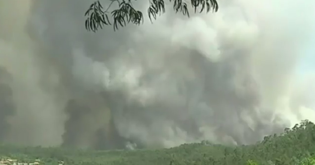 Incendii de vegetație în Portugalia și Spania