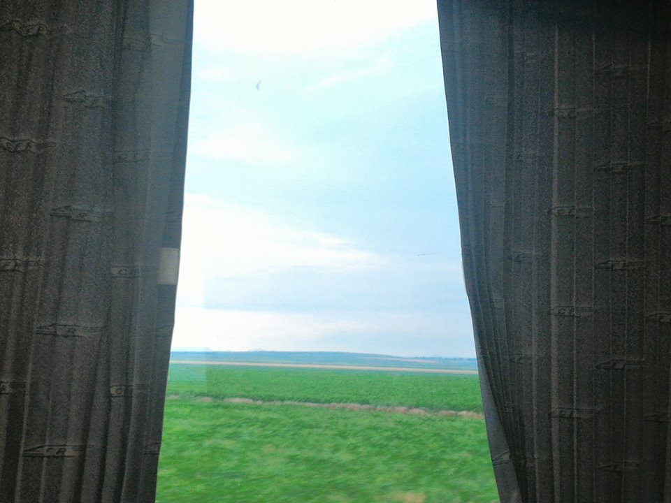 Poemul de azi, by Liliana Hinoveanu