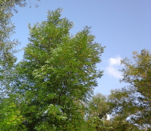 Azi despre ieri – 27 septembrie 2016