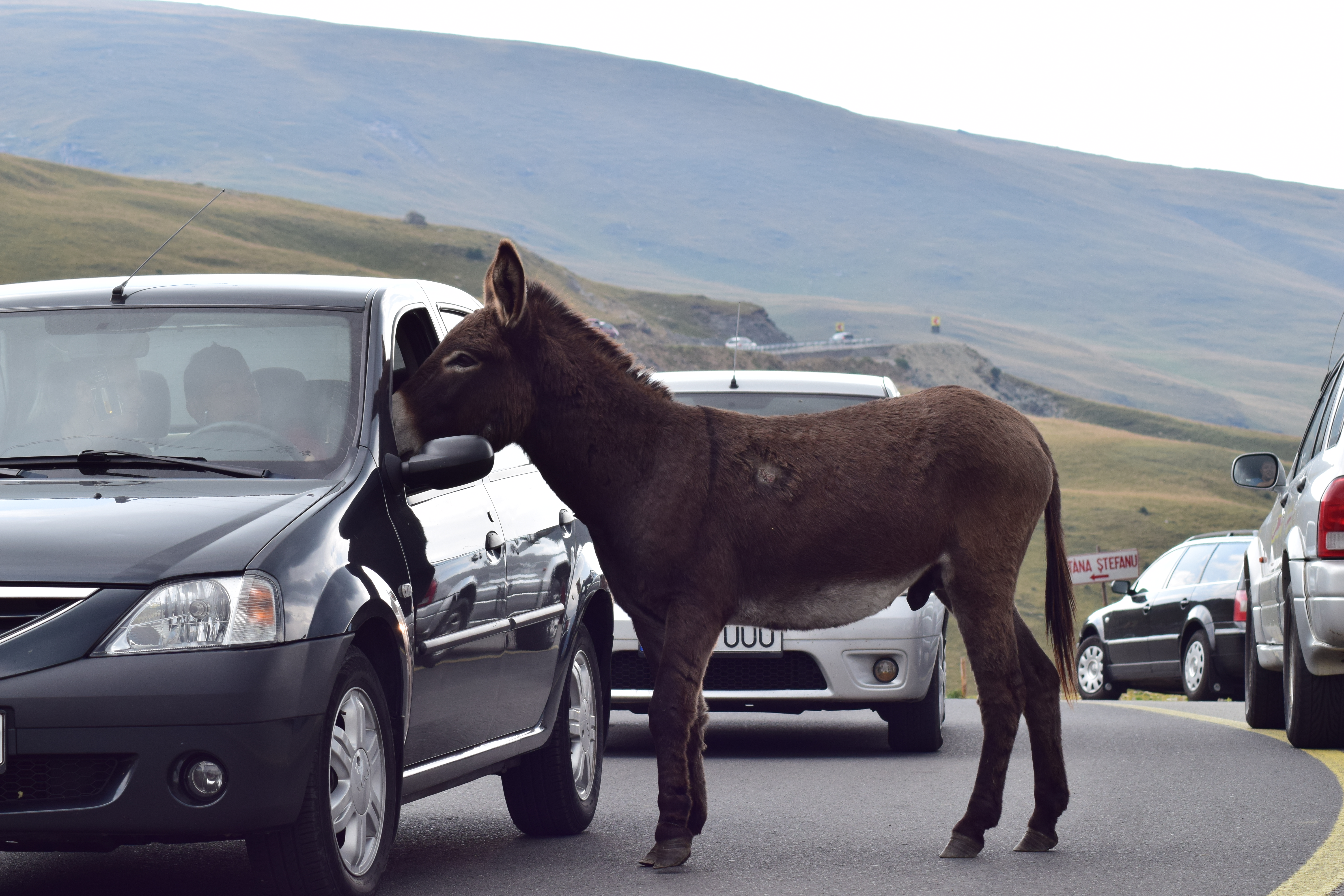 Greu la deal şi mai greu la vale