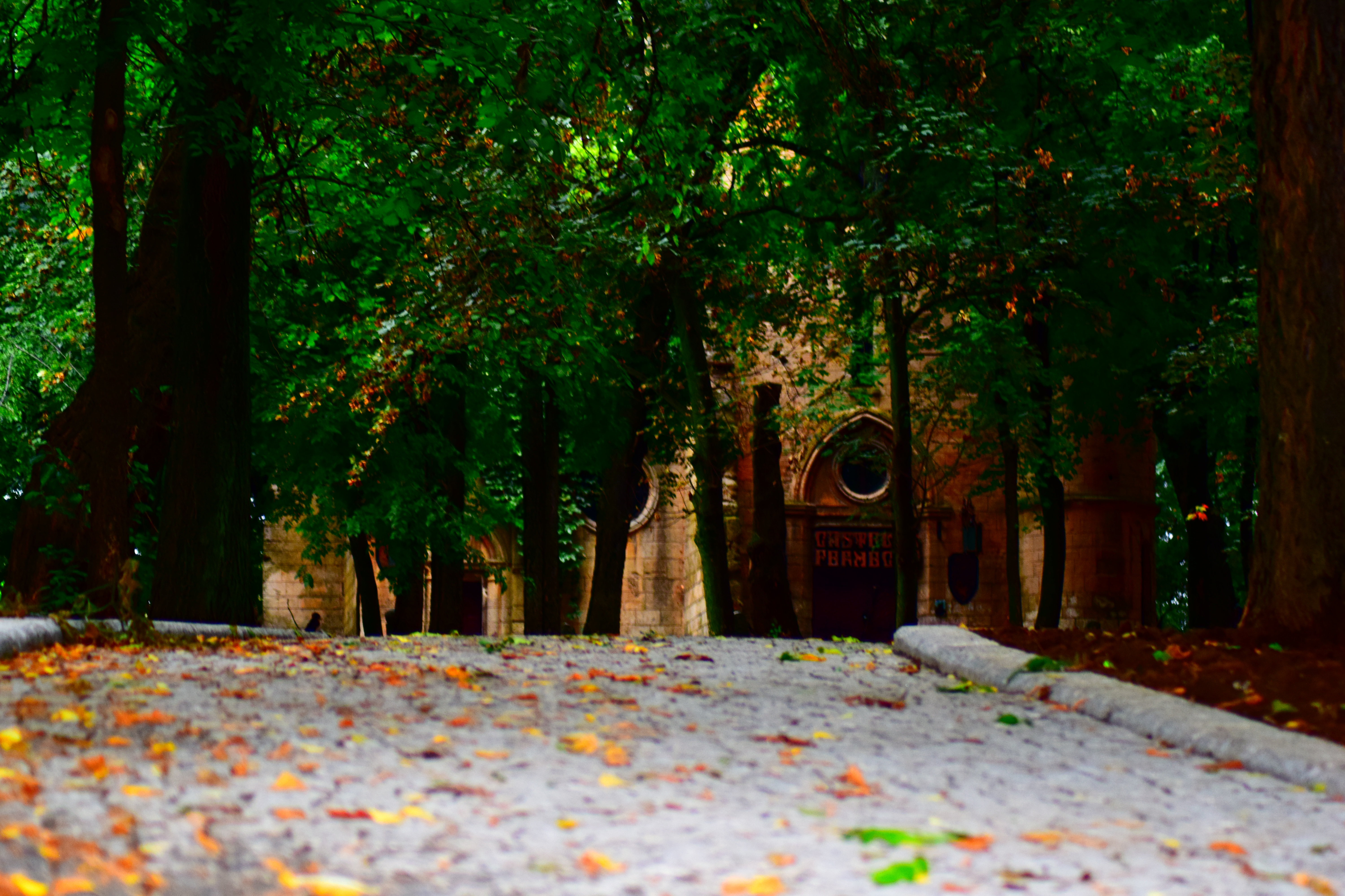 (Galerie foto- EXCLUSIV) Parcul Romanescu, aproape gata!