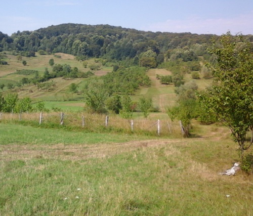 Azi despre ieri – 23 septembrie 2016