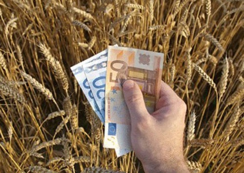 Fermierii îşi vor primi plăţile în avans în luna octombrie (audio)