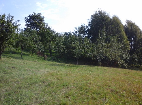 Azi despre ieri – 2 octombrie 2016